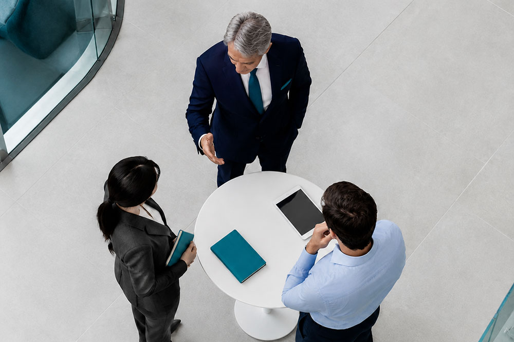 TRESTLE represented as a bridge connecting organizations with the healthcare market